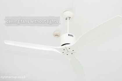 ceiling fans without lights