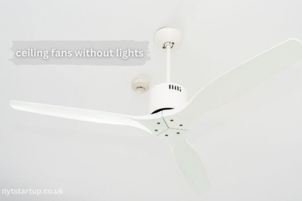ceiling fans without lights