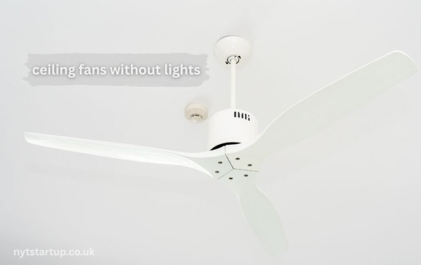 ceiling fans without lights