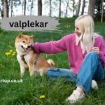 valplekar