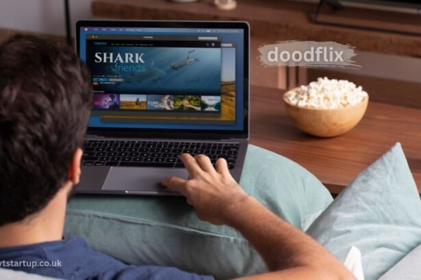 doodflix
